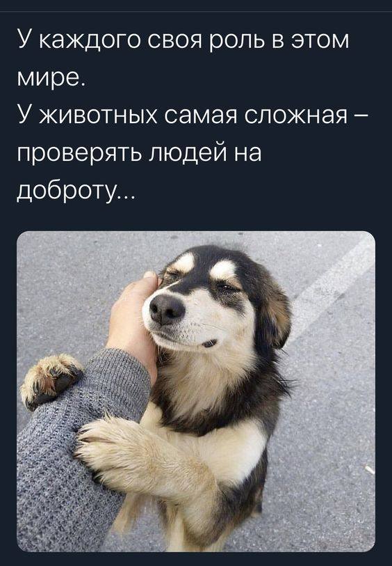 Всяческие картинки 27.12.2021