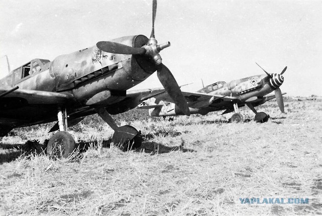Что сделал бригадир колхоза, когда к нему на поля стали садиться немецкие самолеты?
