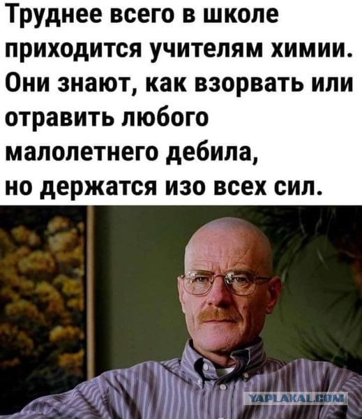 Весёлый полтишок 08.09.22