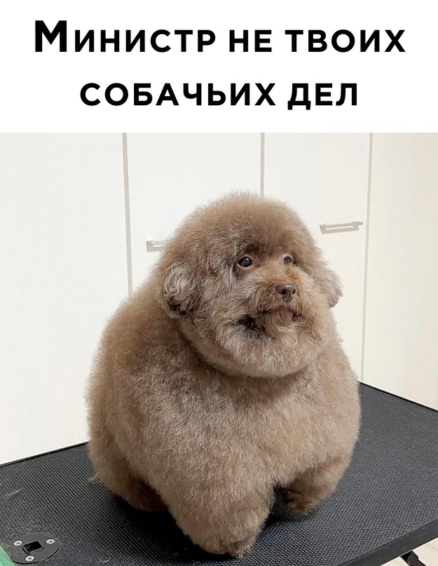 Немного картинок для настроения - 137