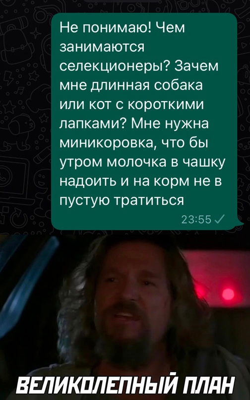 Весёлый полтишок 07.01.23