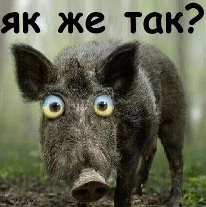 Жены мобилизованных требуют отменить выступление Ирины Хакамады в Иркутске.