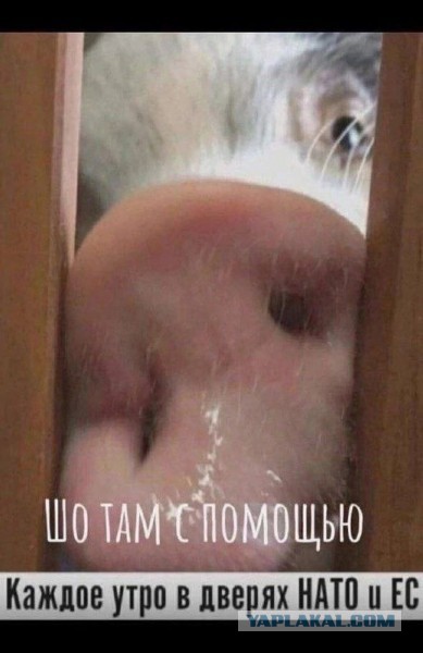 Момент падения на дорогу в Киеве обломков зенитной ракеты ЗРК Patriot