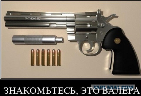 Птичка кушает яичко
