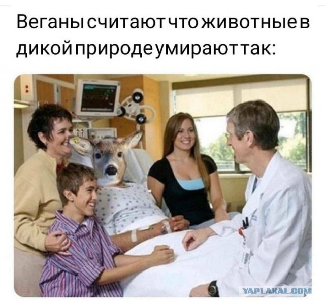 Картинки для деградации 66 (разной степени свежести)