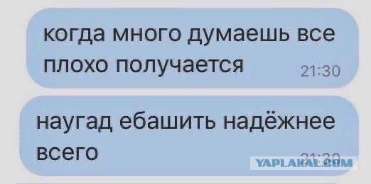 Весёлый полтишок 11.12.25