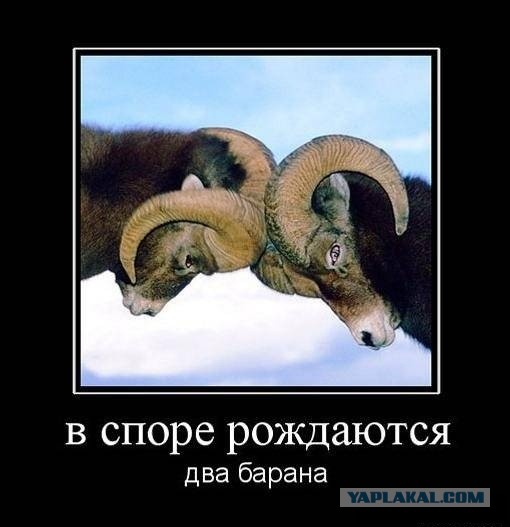 Два дебила﻿ это сила