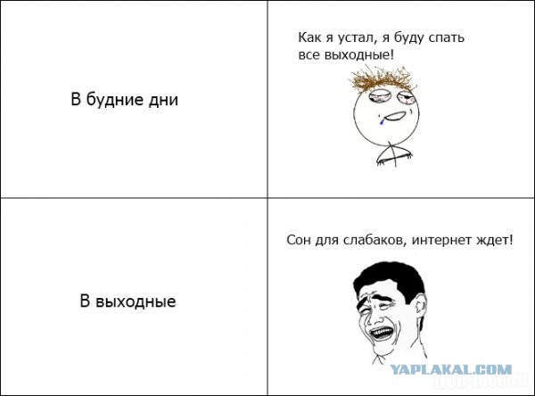 ЯП Образовательный: Ожирение