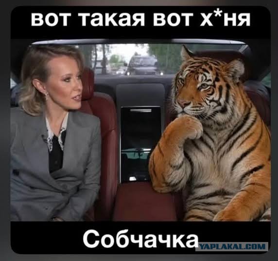Тем временем Ксения Собчак решила покрасоваться своей физической формой в сторис