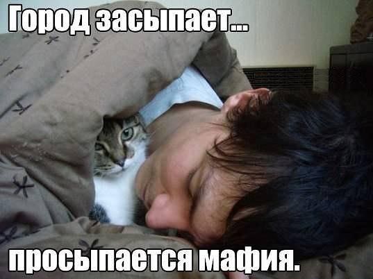 Тема для юмора