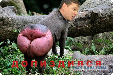 Ляшко угрожает Путину