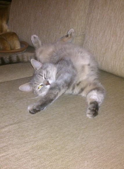 Жесть, как же его поломало