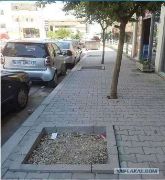 Картинки