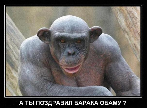 На посольстве США появился Обама заглатывающий бан