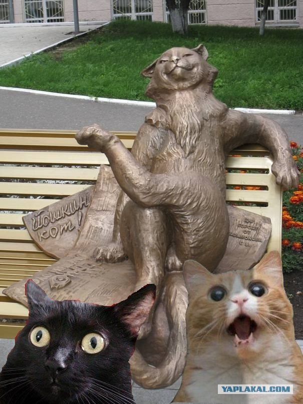 Новый памятник - посвящён котам