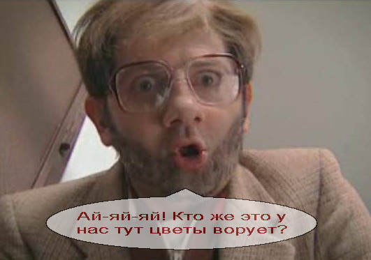 Предложение для вора