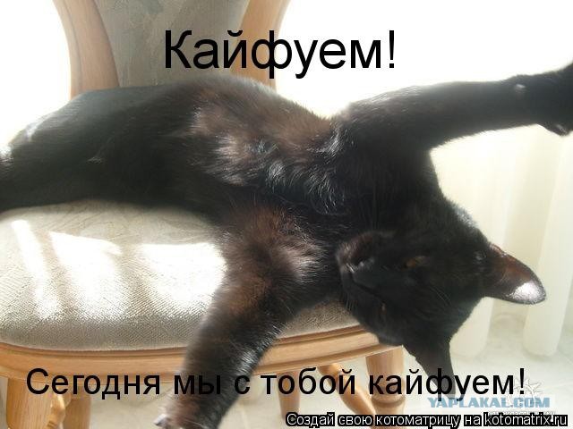 Это-просто ПРАЗДНИК какой то!