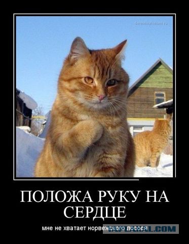 Картинки