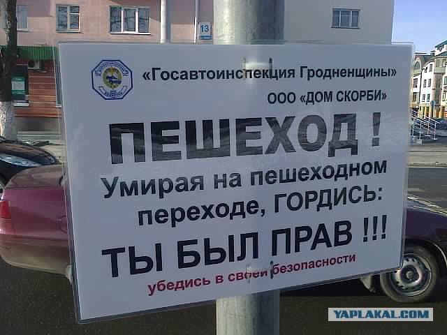 Автоледи открыто призналась в нелюбви к "пешикам"