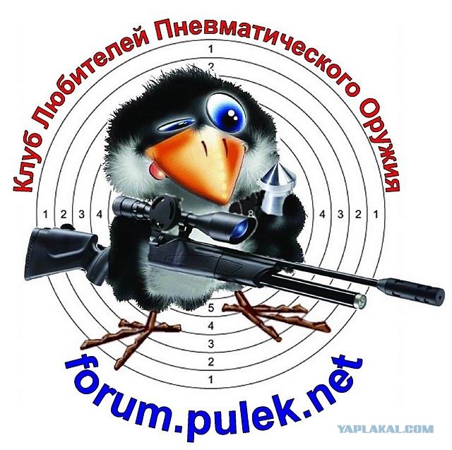 Hatsan 125. Реанимация и выздоровление.