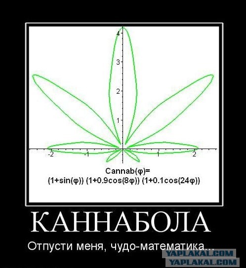 Почему?