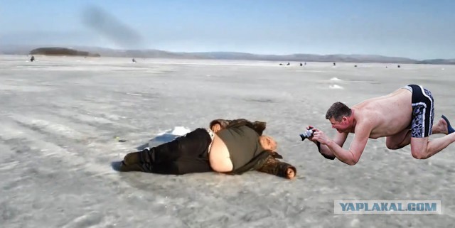 Жаба: Фотолюбитель