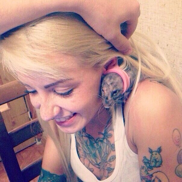 Ужасы и приколы из соцсетей 18+