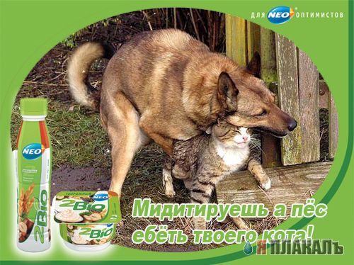 Фотожаба: Харламов и 2 Bio