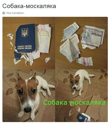 Смешные СМС и комменты