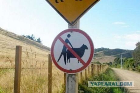 Мудаки на мурманских дорогах