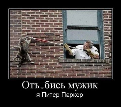 Всячина. Картинки и тексты картинками