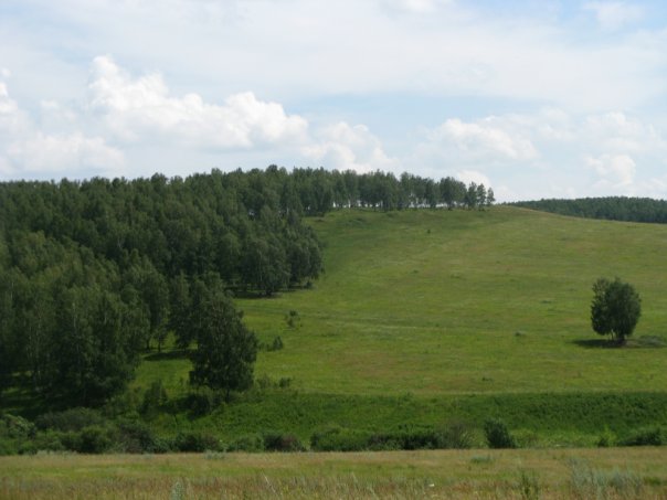 Мой родной сибирский поселок