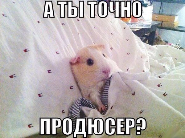 Юмор не для всех