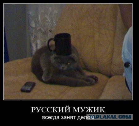 О женщинах в картинках – уголок мужского шовиниста (30+)