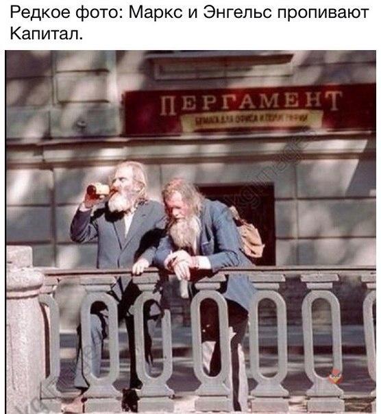 Подборка безудержного веселья