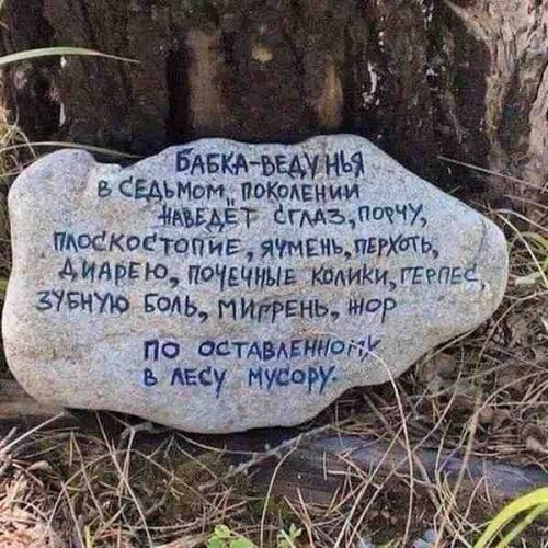 Подборка интересных и веселых картинок