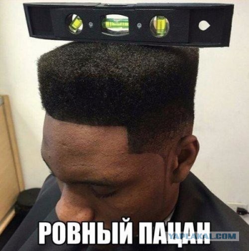 Подборка интересных и веселых картинок