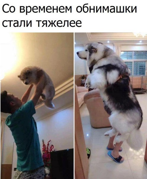 29 картинок