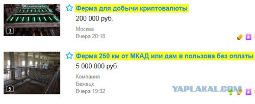 Майнеры поехали крышей! На Урале продают ферму по добыче криптовалюты по цене реальной 4-х комнатной квартиры
