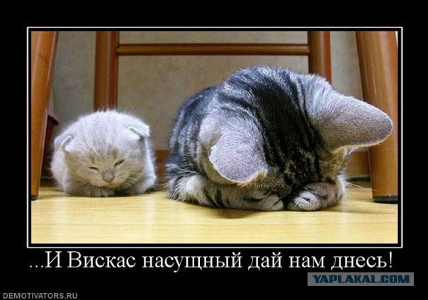 Внимание! РПЦ