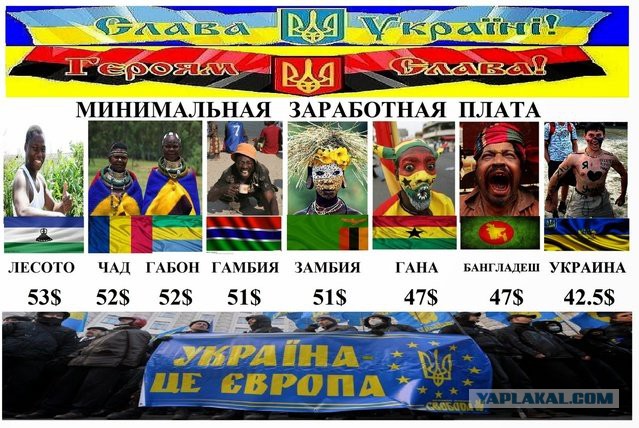 СУГС, хули
