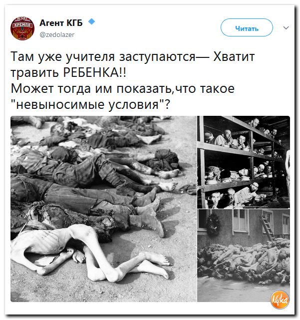 В Кремле не согласны с обвинениями в злом умысле и пропаганде нацизма в адрес школьника из Уренгоя.