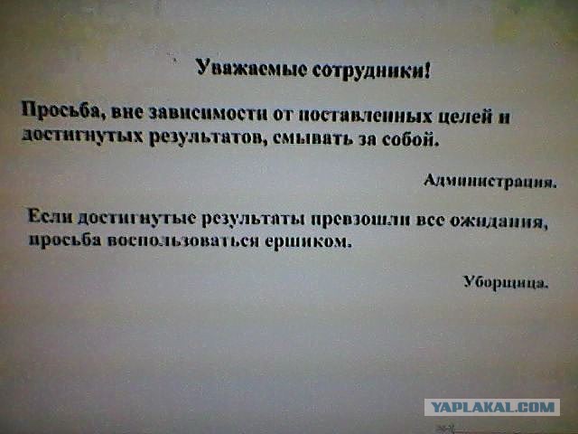 30 объявлений, мимо которых вы просто не сможете пройти