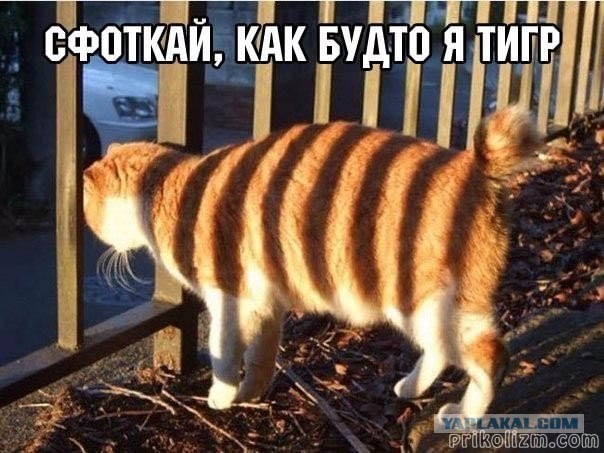 Правдивые факты в которые сложно поверить