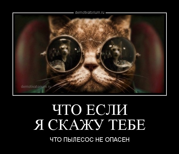Немного веселых картинок к среде