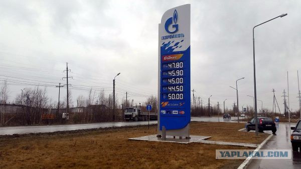 Почему растет цена на бензин. Нас откровенно держат за дураков.