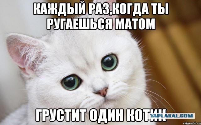 Картинки с матами смешно