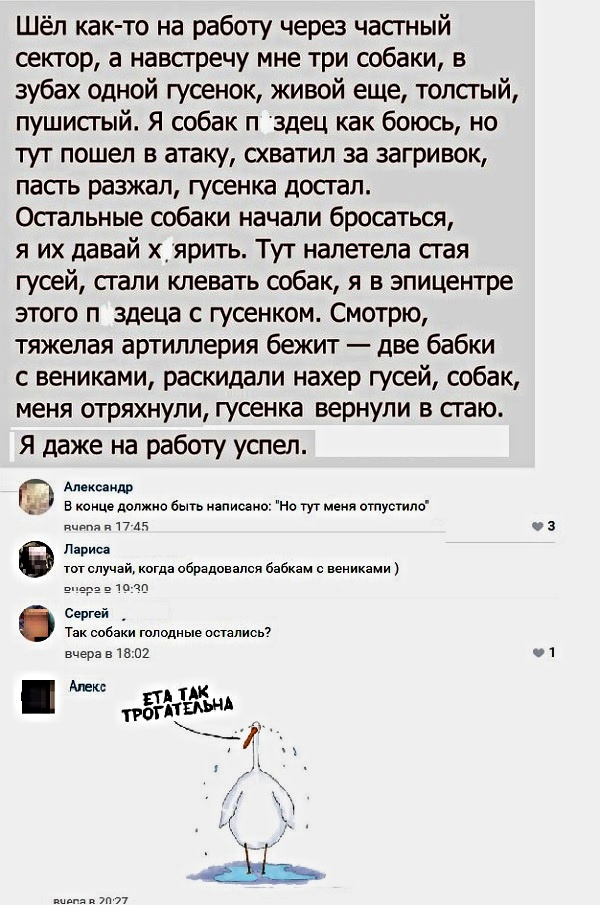 Анекдоты, соц-сети и картинки с надписями