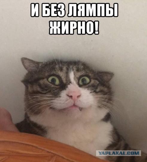 Застукала мужа в постели с тещей