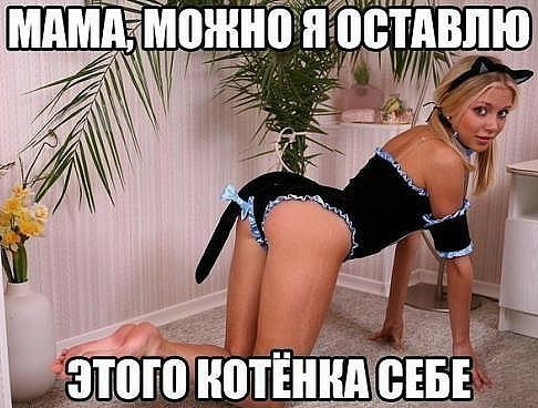 Картинки с надписями, истории и анекдоты